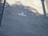image of grave number 929890